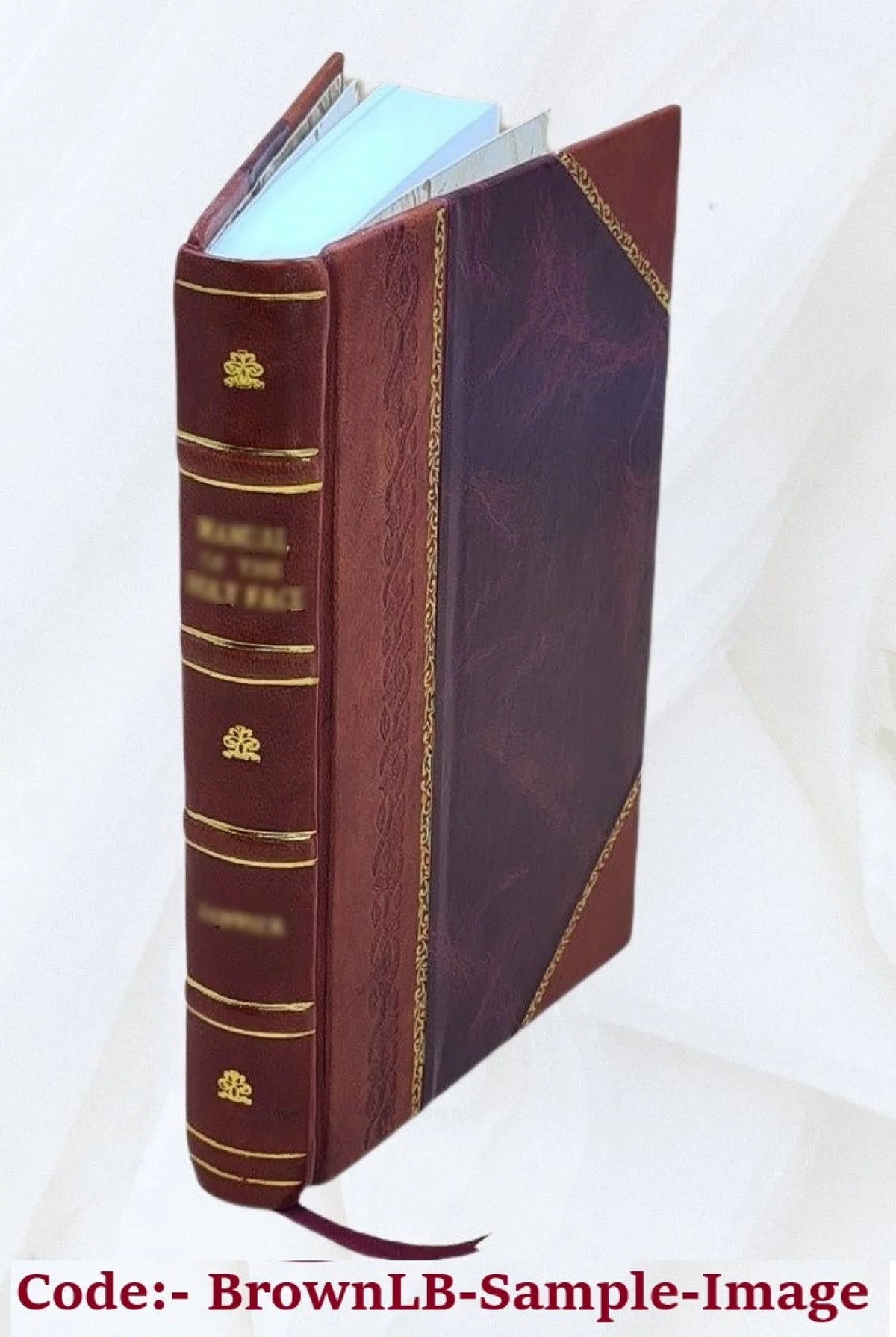 Los Tarascos Notas históricas étnicas y antropológicas Pte. 1 Historia primitiva descubrimiento y conquista Leather Bound V6448