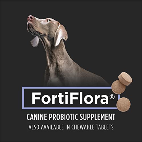 Dog Probiotic Supplement 30 Ct W974747
