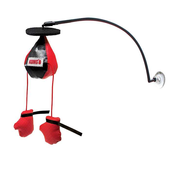Window Cat Toy Y307179
