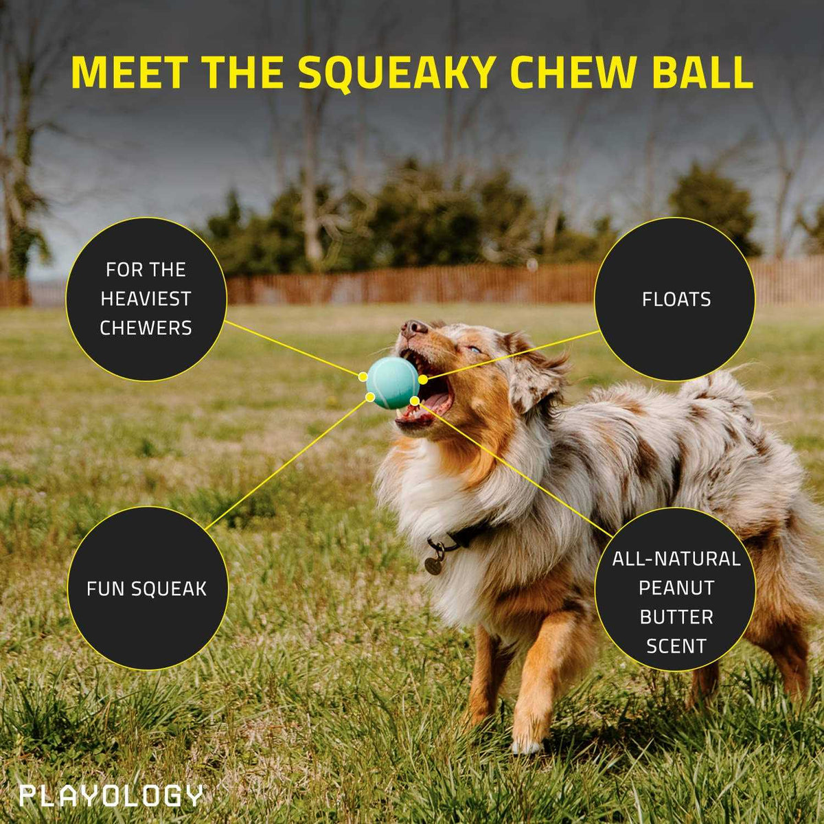 Squeaky Chew Ball Dog Toy J846