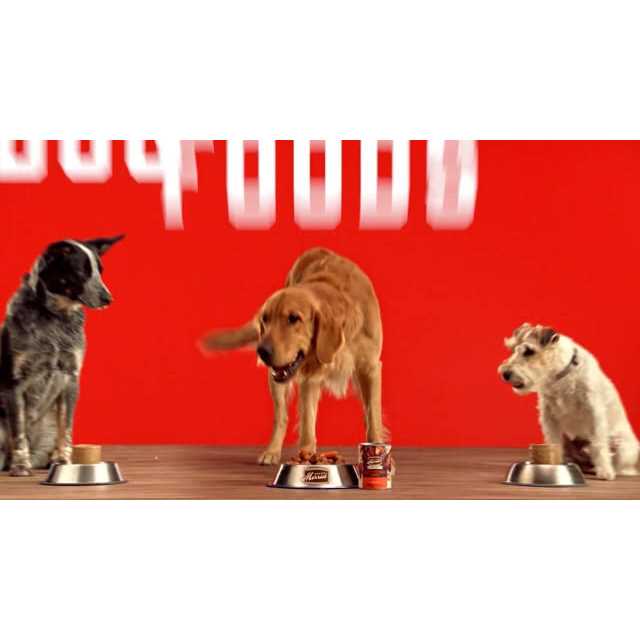 Grain Free Real Beef Canned Dog Food G643