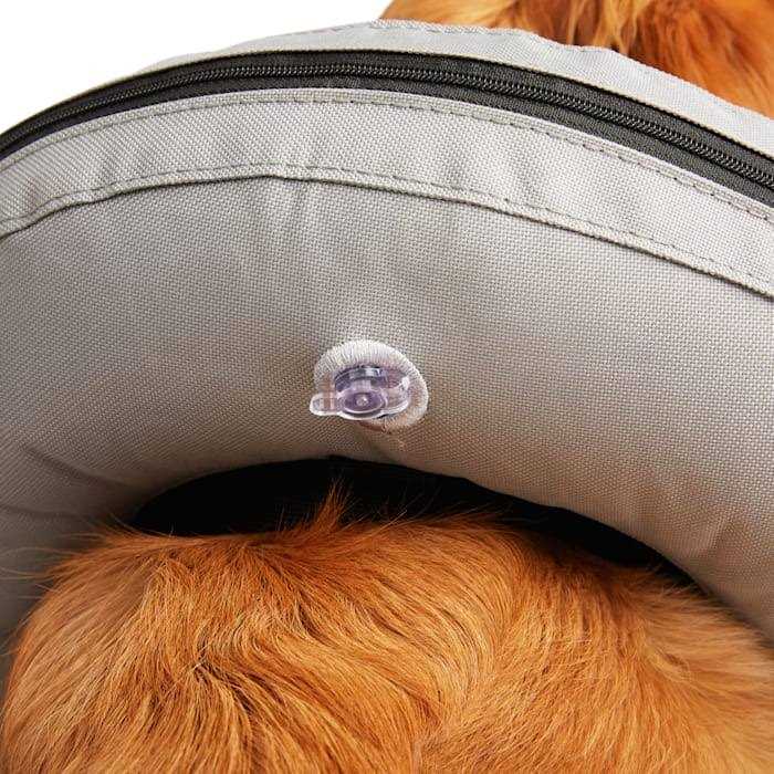 Inflatable Dog Collar B538