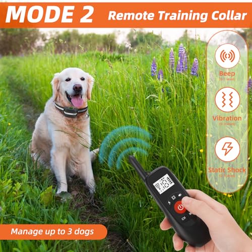 2-in-1 GPS Wireless Dog Fence & Remote Training Collar J739