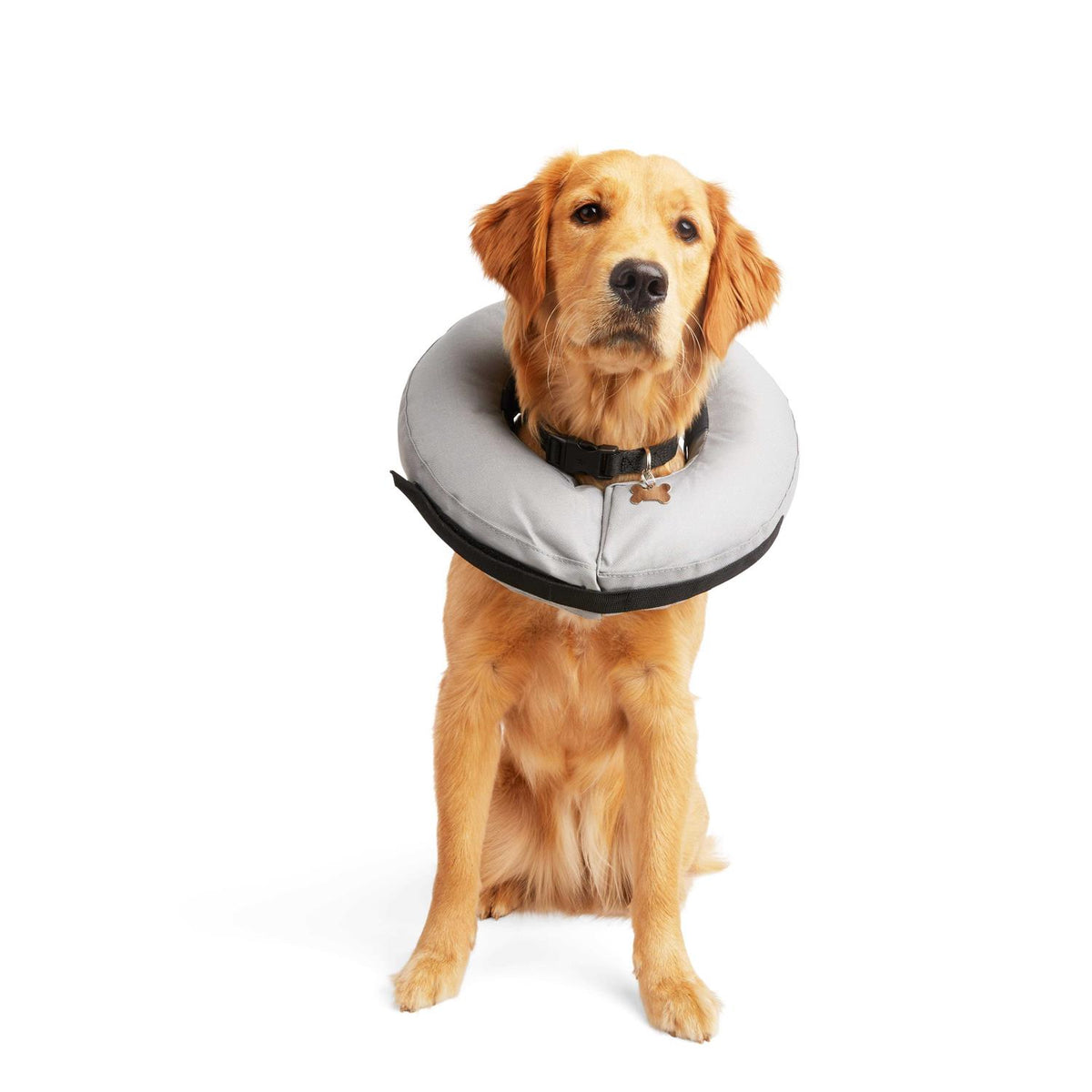 Inflatable Dog Collar B538