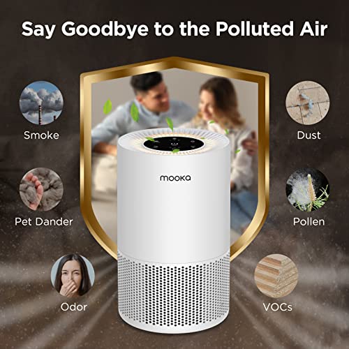 H13 True HEPA Air Purifier for Large Rooms up to 1200ft² C133