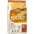 Organic Free-Run Chicken Dry Cat Food N699090
