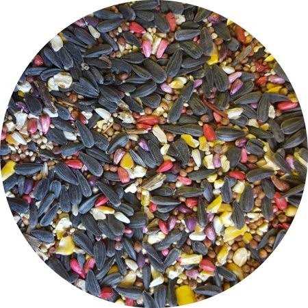 Wild Bird Food T608