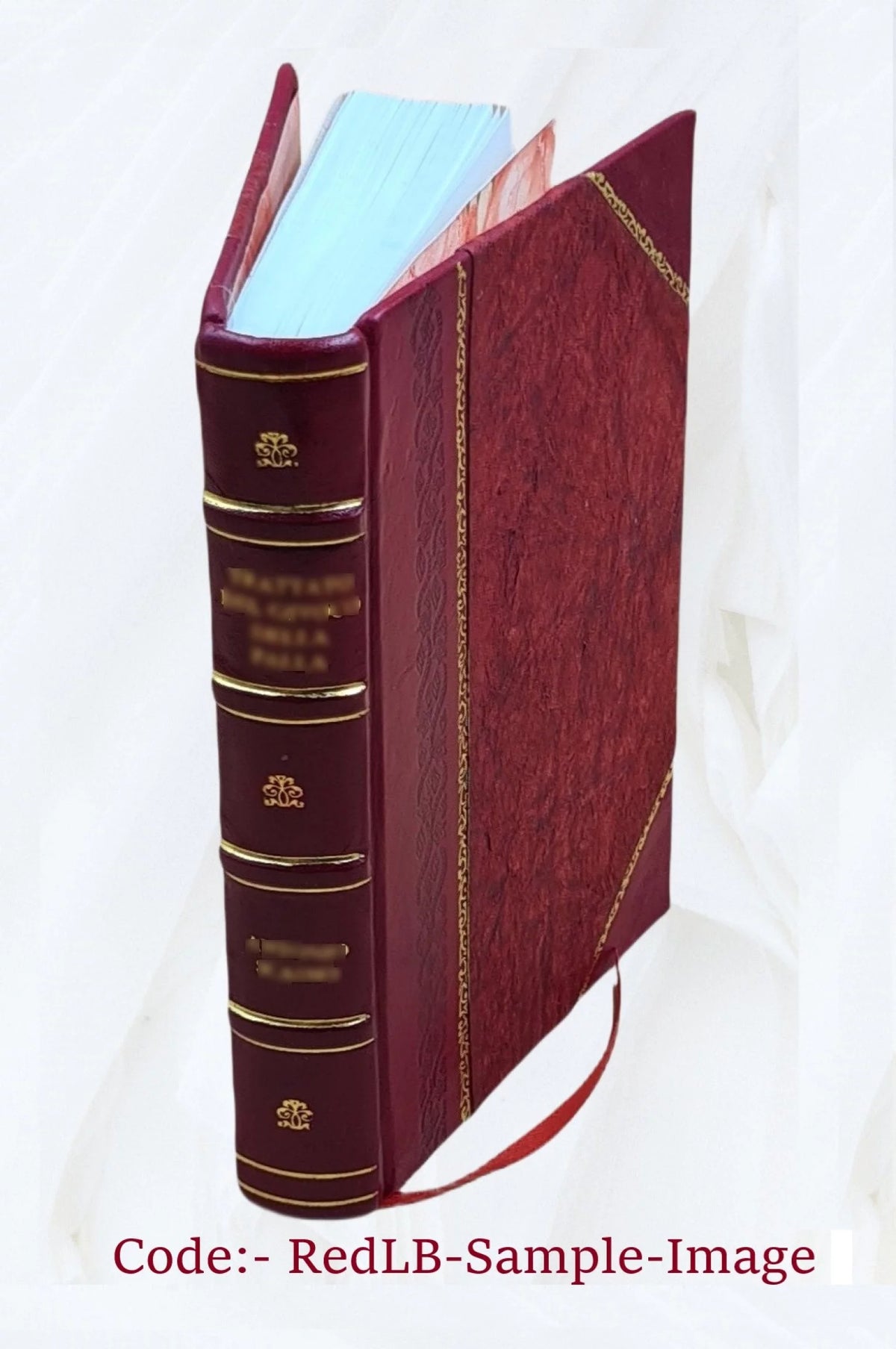 Leather Bound Roman A2619