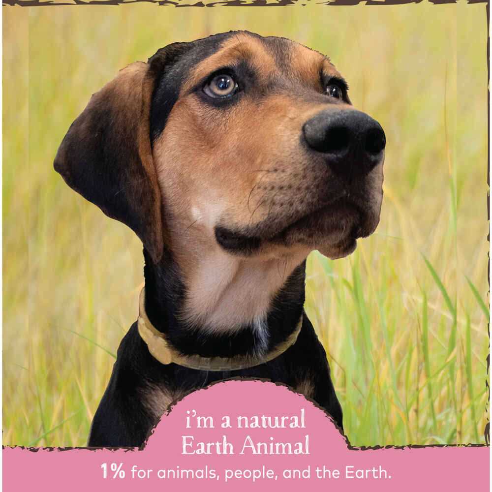 Herbal Flea & Tick Collar for Cats V653