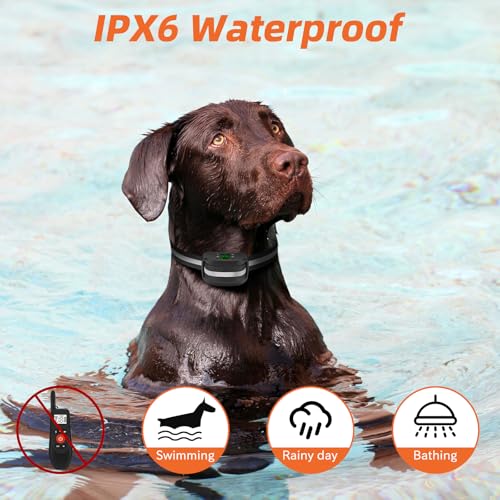 2-in-1 GPS Wireless Dog Fence & Remote Training Collar J739