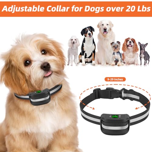 2-in-1 GPS Wireless Dog Fence & Remote Training Collar J739
