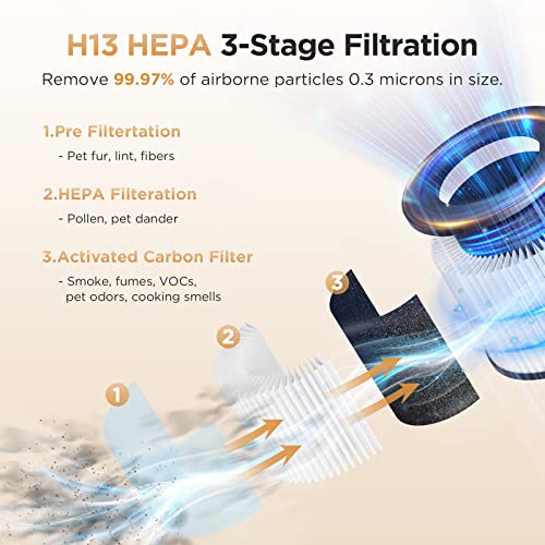 H13 True HEPA Air Purifier for Large Rooms up to 1200ft² C133