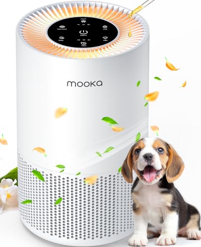 H13 True HEPA Air Purifier for Large Rooms up to 1200ft² C133