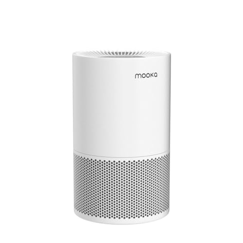 H13 True HEPA Air Purifier for Large Rooms up to 1200ft² C133