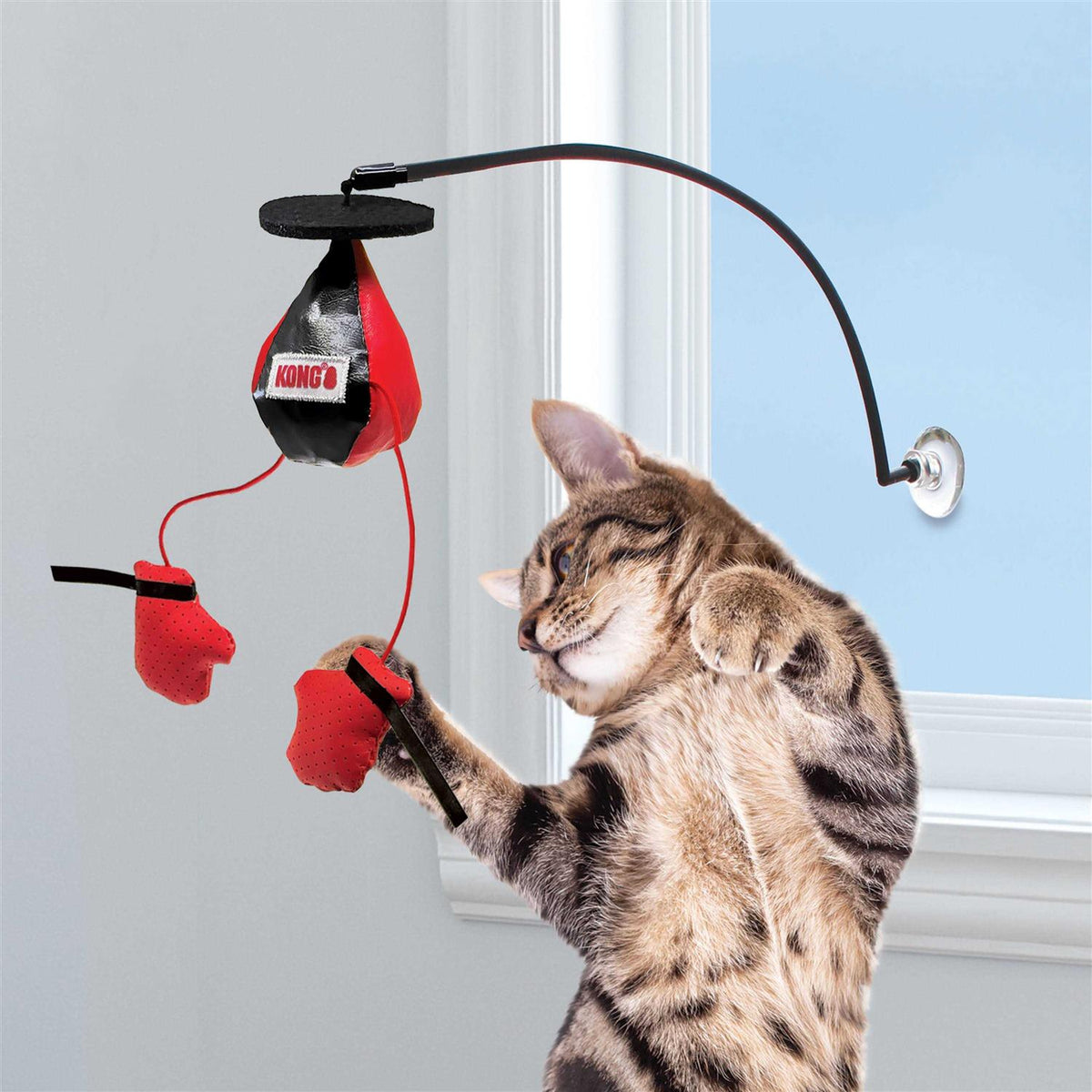 Window Cat Toy Y307179
