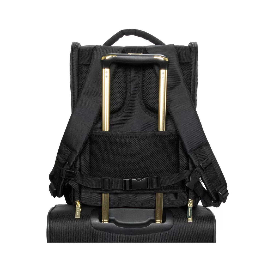 Collapsible Travel Pet Carrier B4134