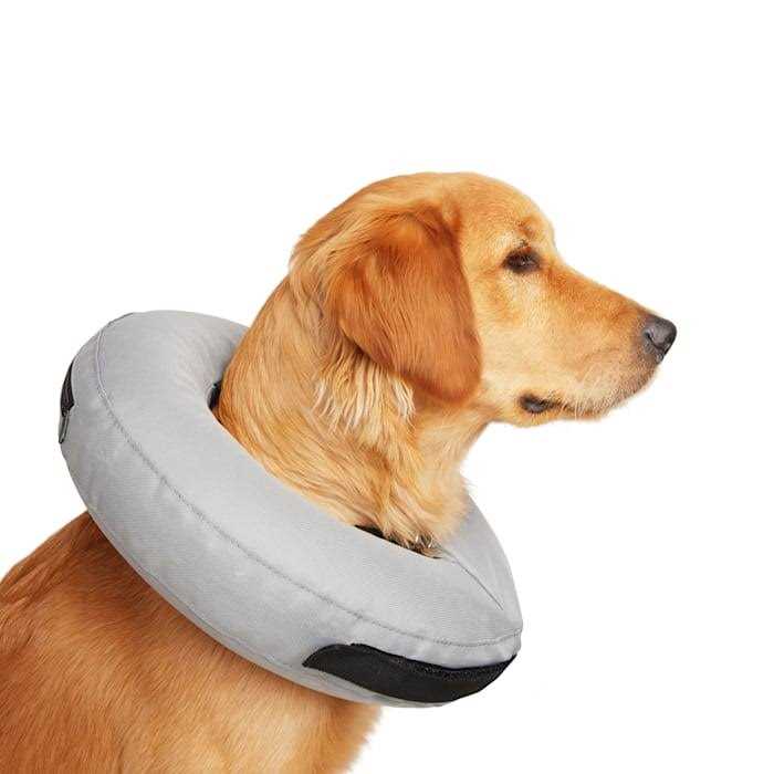 Inflatable Dog Collar B538