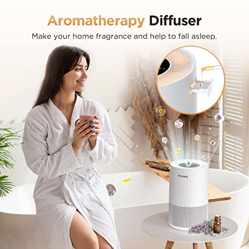 H13 True HEPA Air Purifier for Large Rooms up to 1200ft² C133