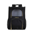 Collapsible Travel Pet Carrier B4134