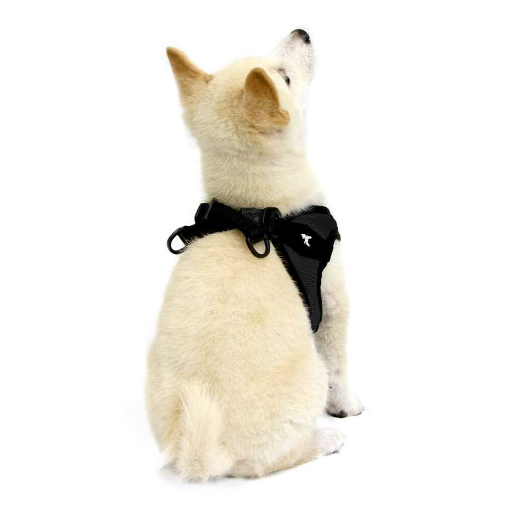 Easy Fit Dog Harness L804023
